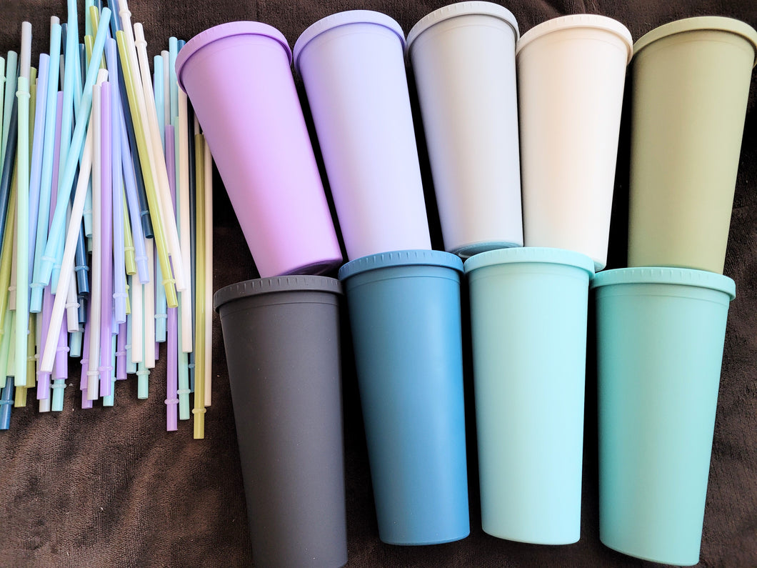 22oz Acrylic Insulated Tumbler with Lid